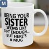 Being Your Sister Seems Like Gift Enough Funny Sister Gift Ideas Sister Gifts Coffees Mugs